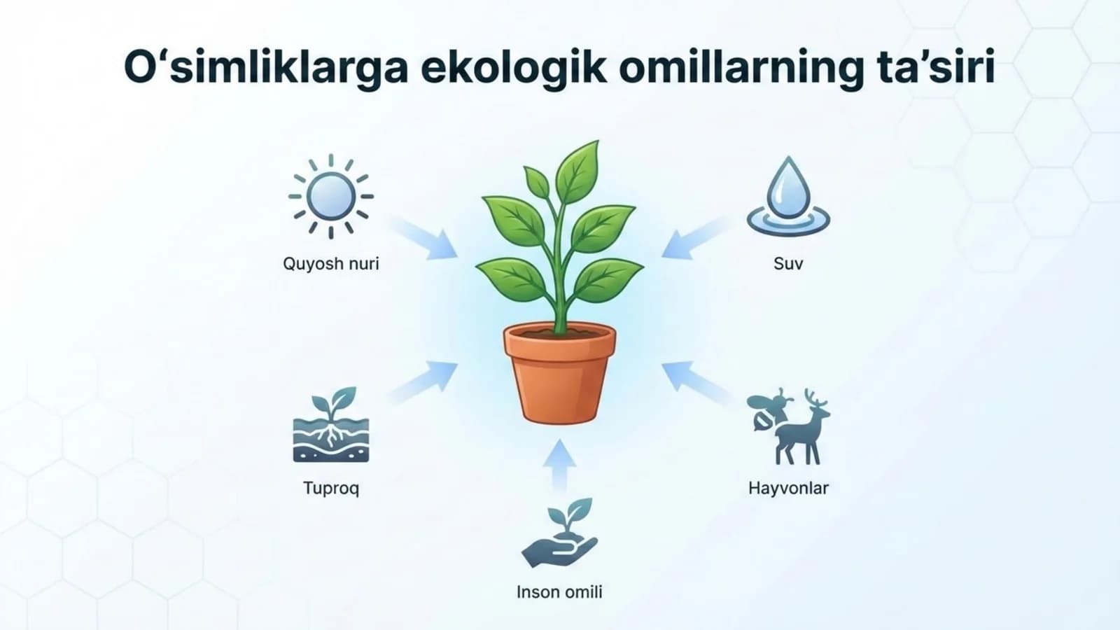 O'simliklarga ekologik omillarning ta'siri