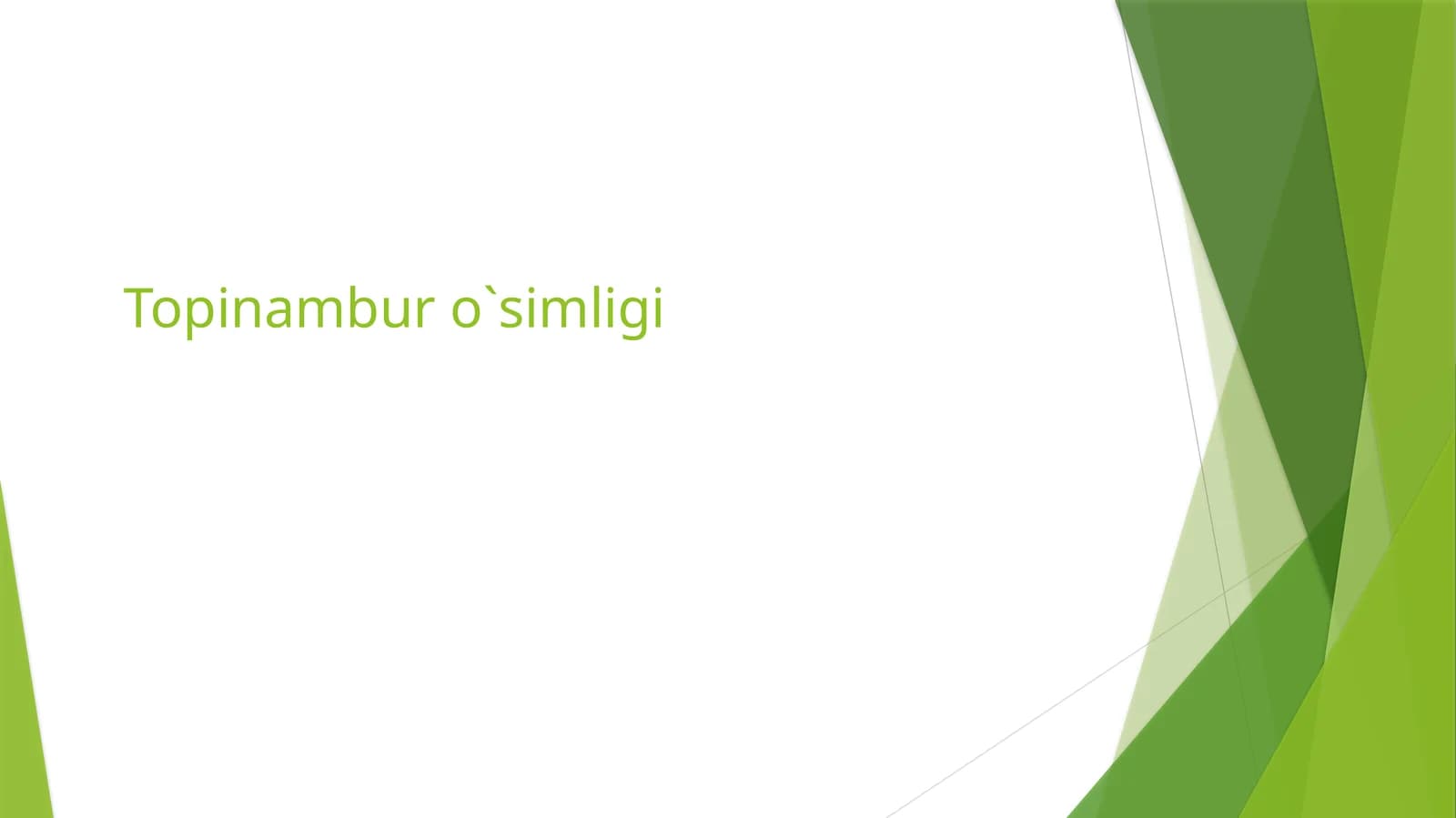 Topinambur o`simligi