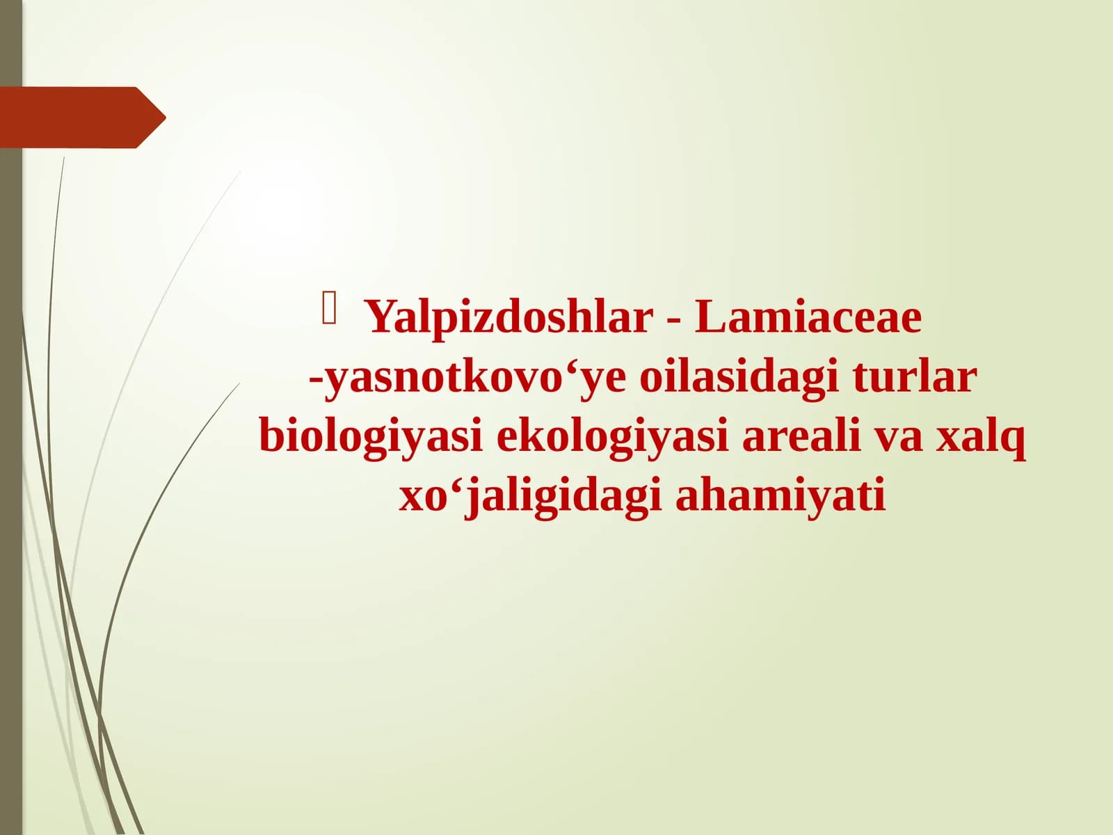 Yalpiz kabilar sinfchasi