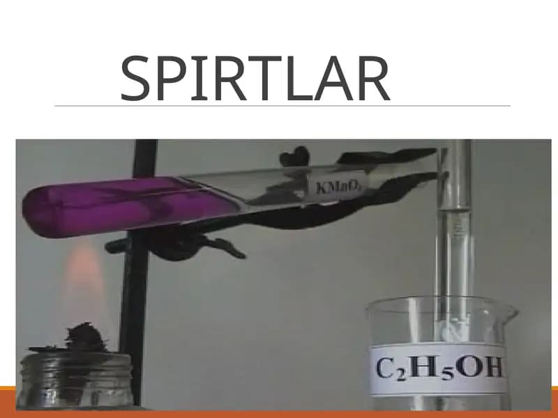 SPIRTLAR