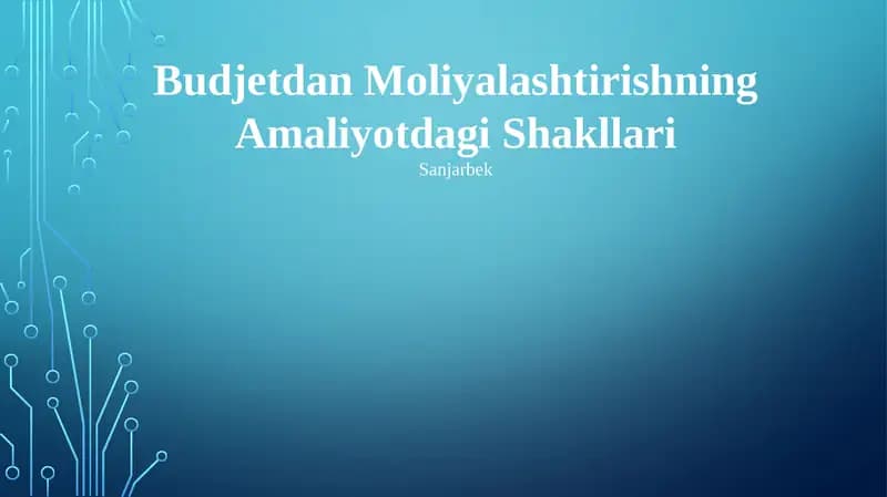 Budjetdan Moliyalashtirishning Amaliyotdagi Shakllari