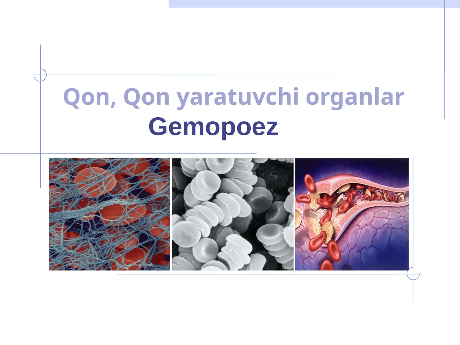 Gemopoez