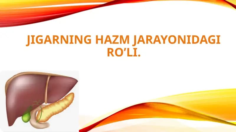 JIGARNING HAZM JARAYONIDAGI RO’LI.