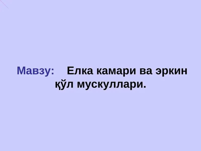 Елка камари ва эркинқўл мускуллари
