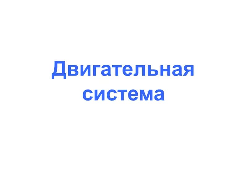 Двигательная система