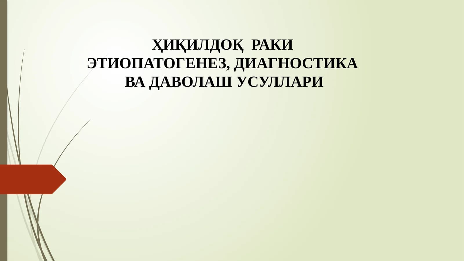 XIQILDOQ RAKI
