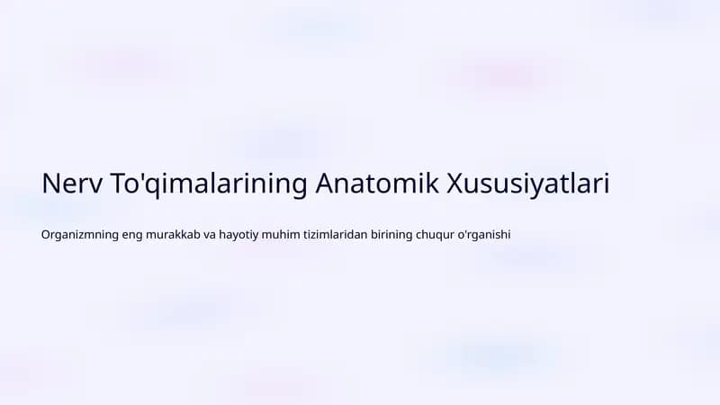 Nerv To'qimalarining Anatomik Xususiyatlari