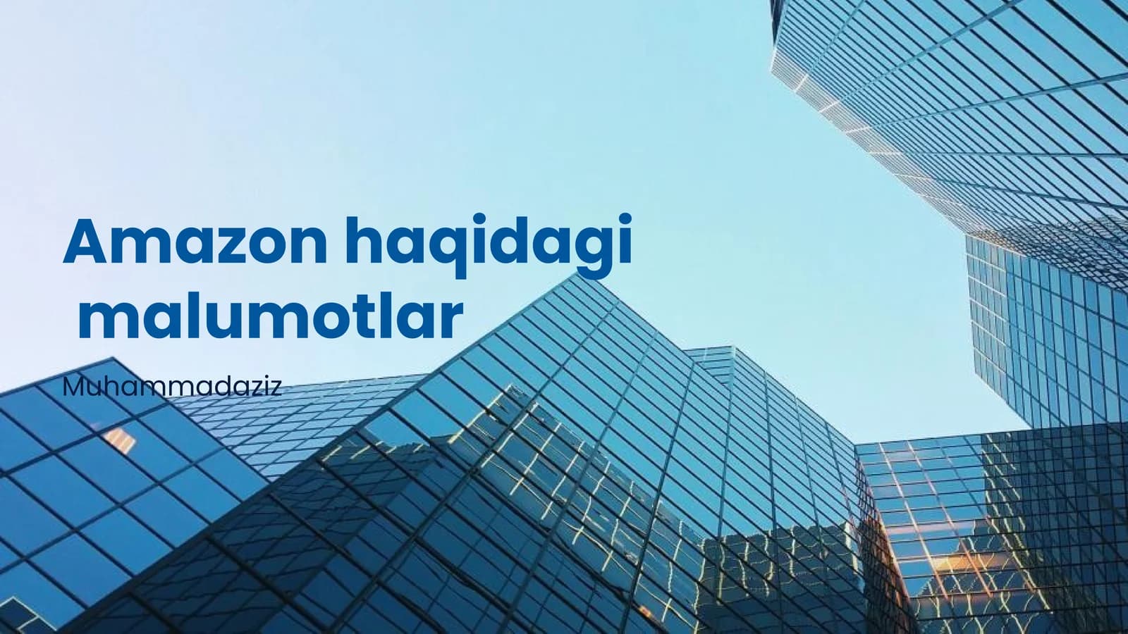 Amazonning Asosiy Faoliyat Sohalari
