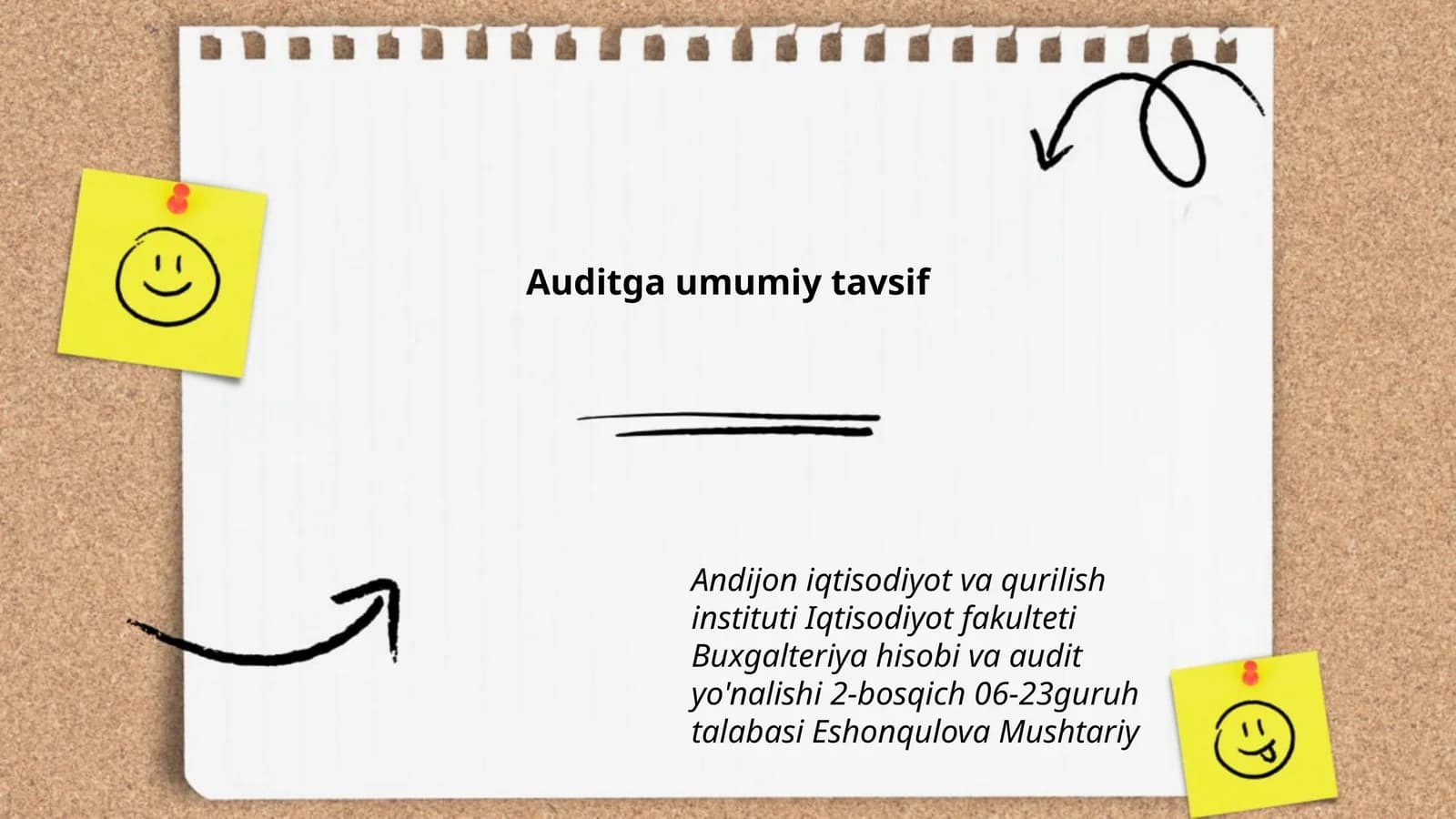 Auditga umumiy tavsif