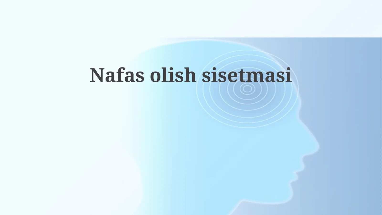 Nafasolishsisetmasi