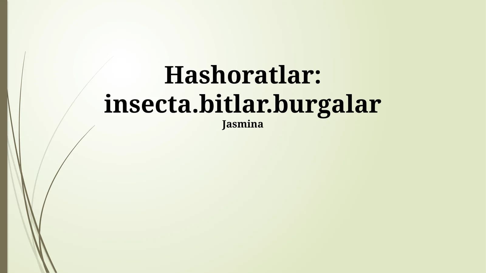 Hashoratlar: insecta.bitlar.burgalar
