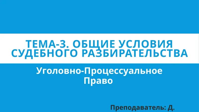 Общие условия судебного разбирательства