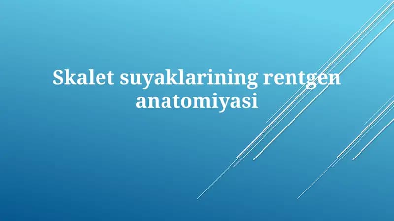 Skaletsuyaklarining rentgenanatomiyasi