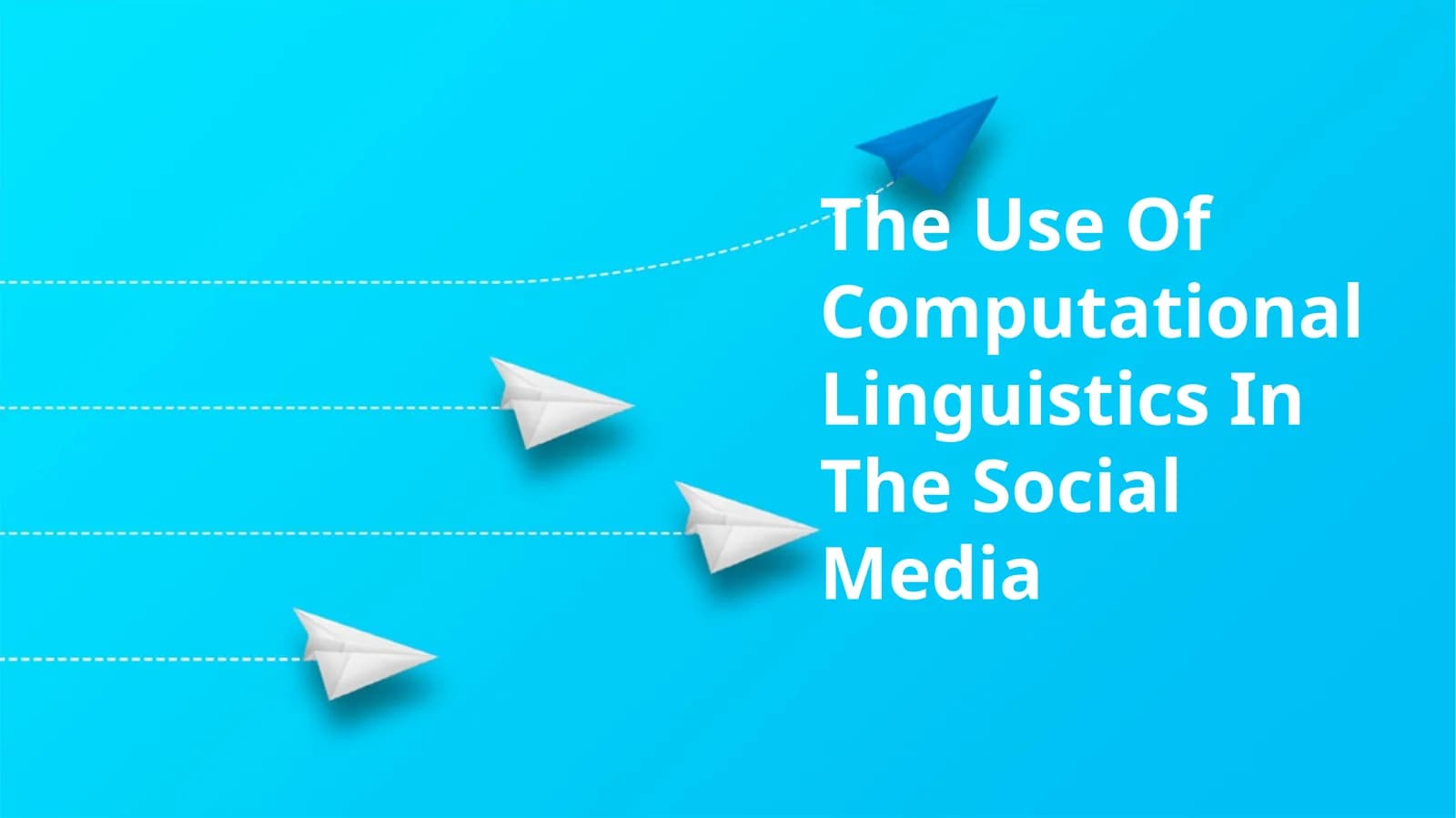 The Use Of Computational Linguistics In The Social Media