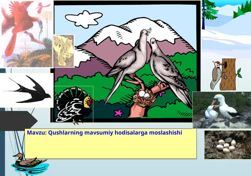 Qushlarning mavsumiy hodisalarga moslashishi