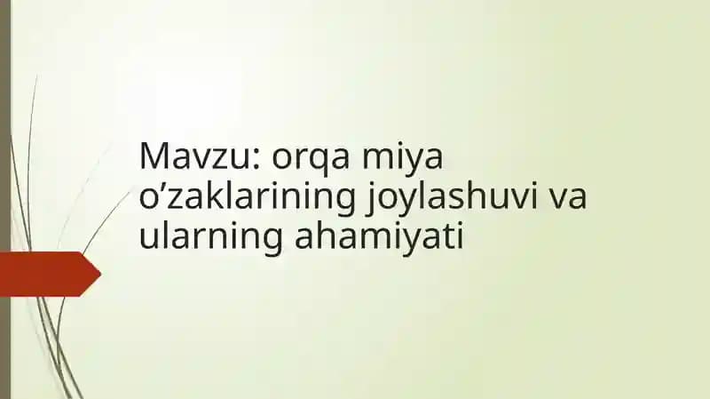 ORQA MIYA O‘ZAKLARINING JOYLASHUVI VA ULARNING AHAMIYATI