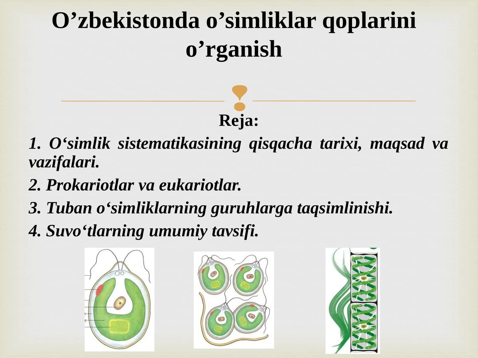 O’zbekistonda o’simliklar qoplarini o’rganish