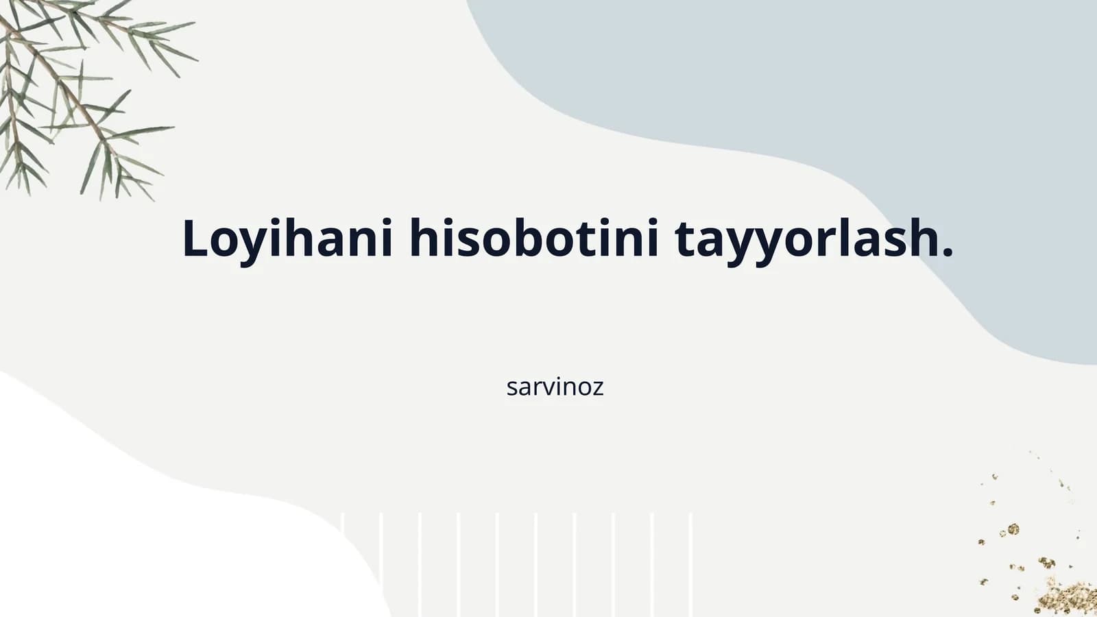 Loyihani hisobotini tayyorlash.