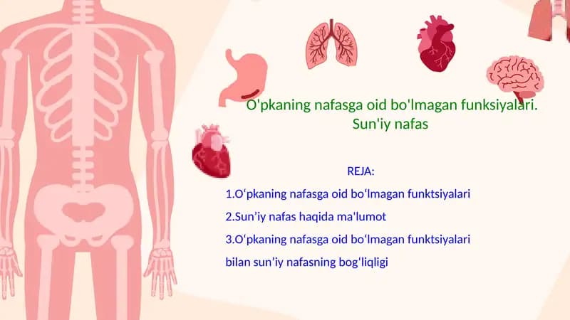 O'pkaning nafasga oid bo'lmagan funksiyalari. Sun'iy nafas