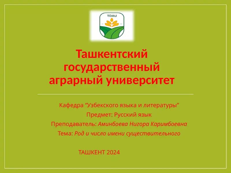 Род и число имени существительного