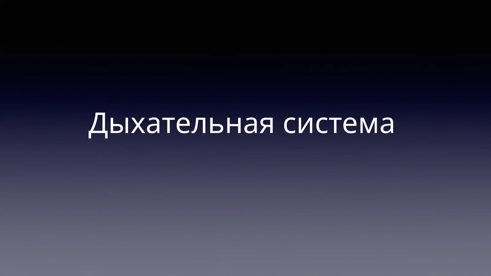Дыхательная система