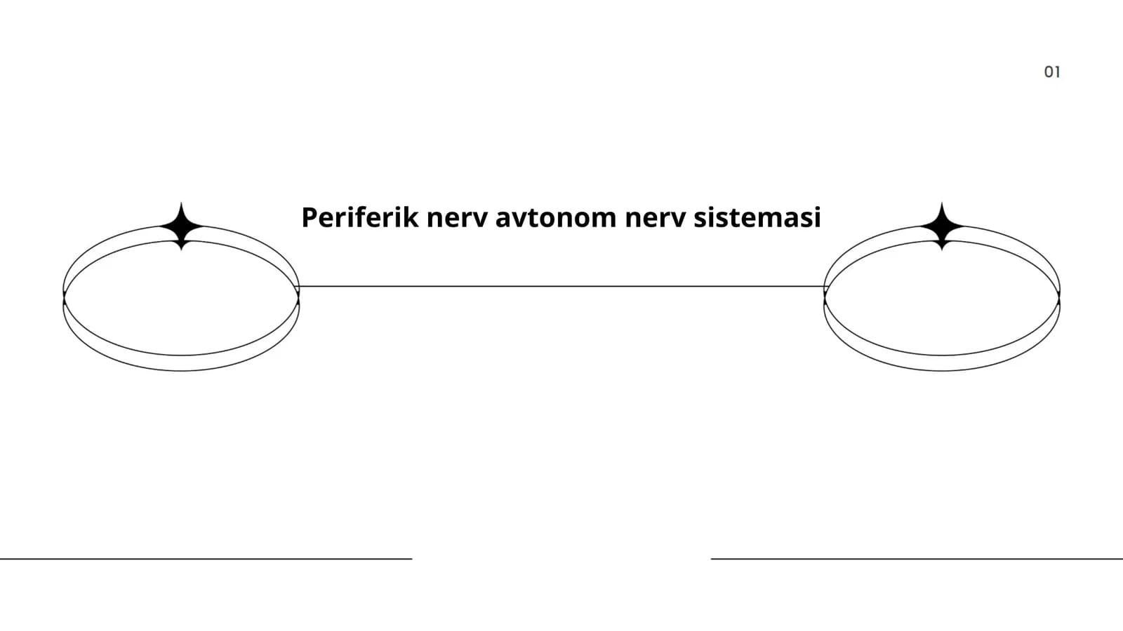 Periferik nerv avtonom nerv sistemasi