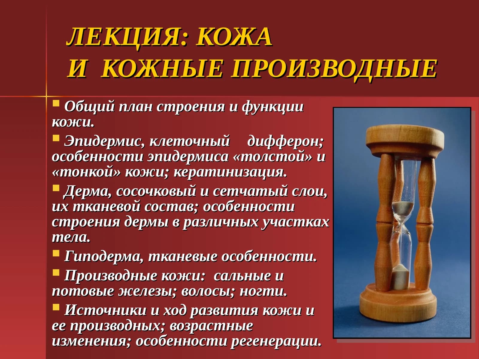 Кожаи кожные производные