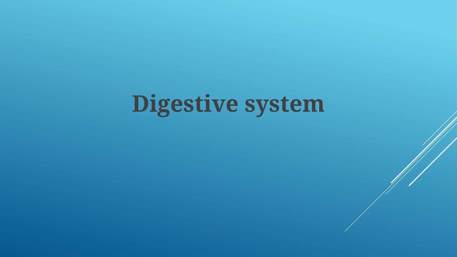 Anatomy and Organs of the Digestive System