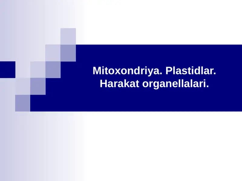 Mitoxondriya