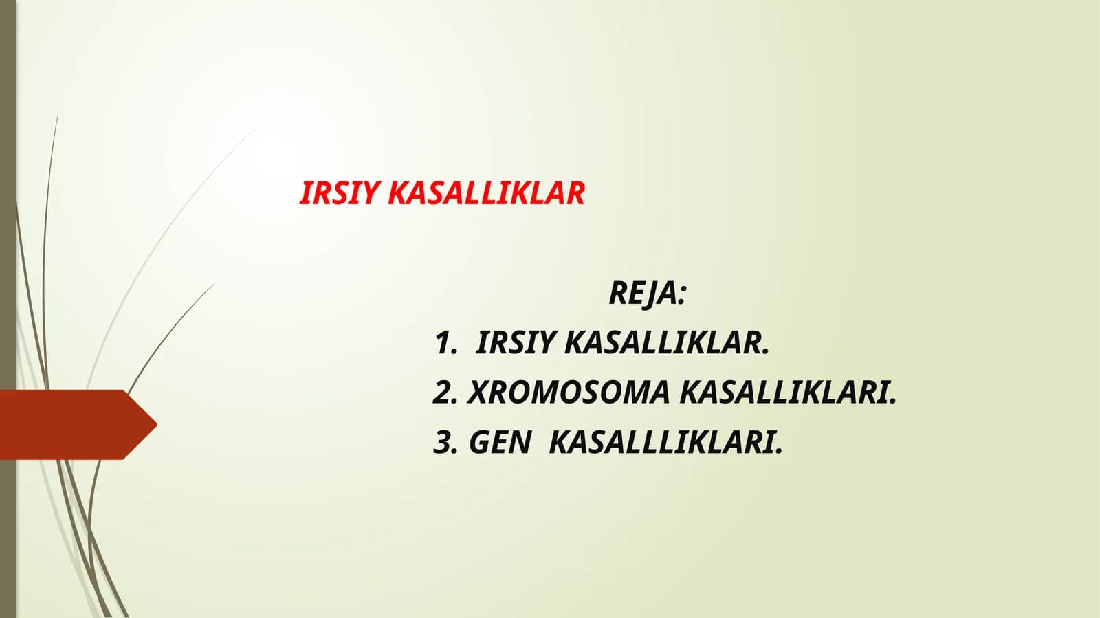 IRSIY KASALLIKLAR