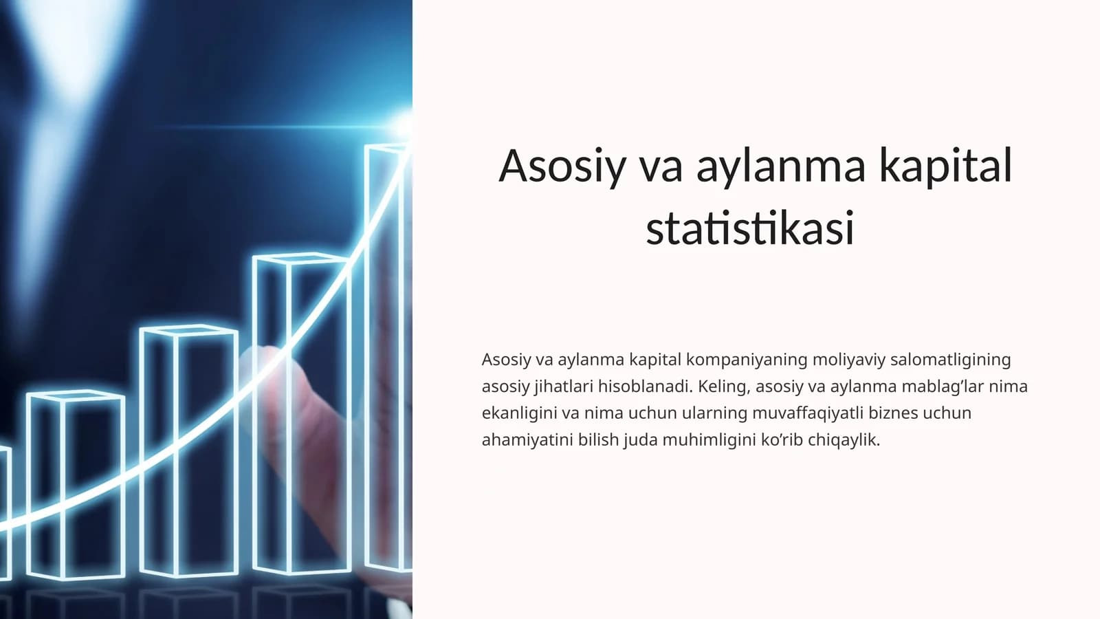 Asosiy va aylanma kapital statistikasi
