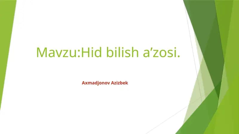 Hidbilishaʼzosi
