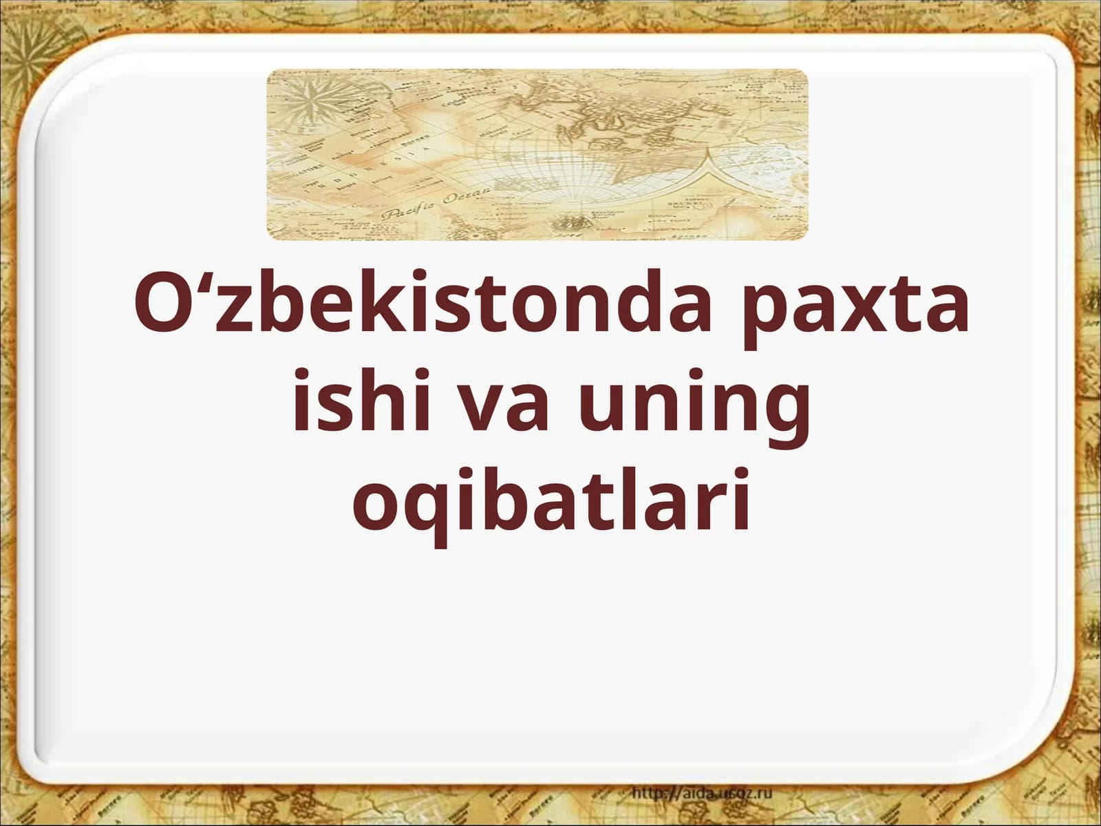 O‘zbekistonda paxta ishlarining oqibatlari