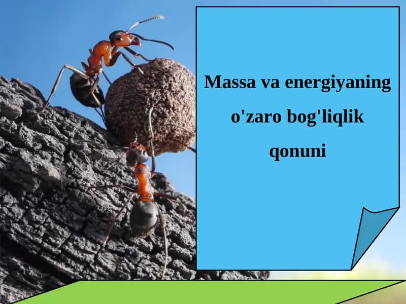 Massa va energiyaning o'zaro bog'liqlik qonuni