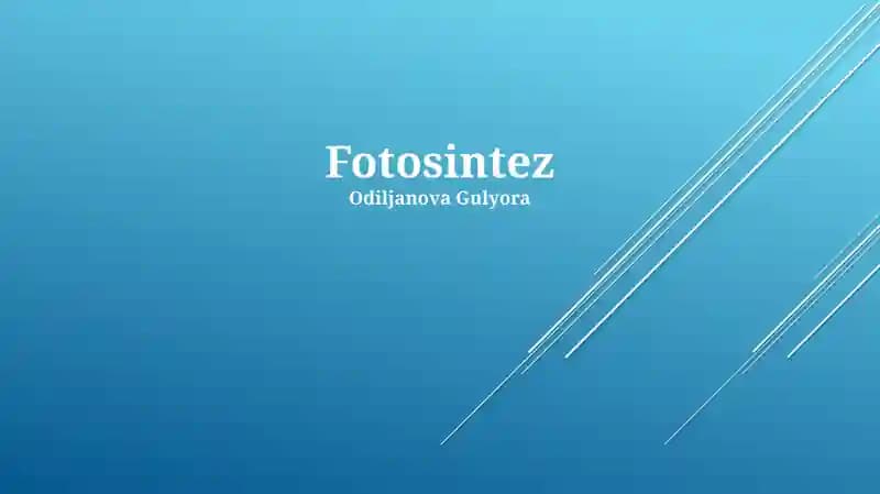 Fotosintez