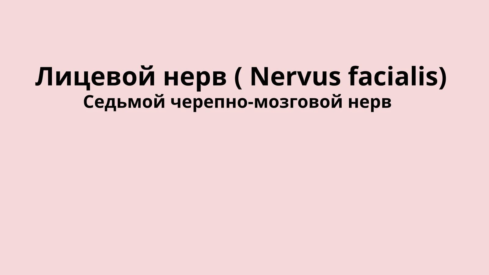 Лицевой нерв ( Nervus facialis)