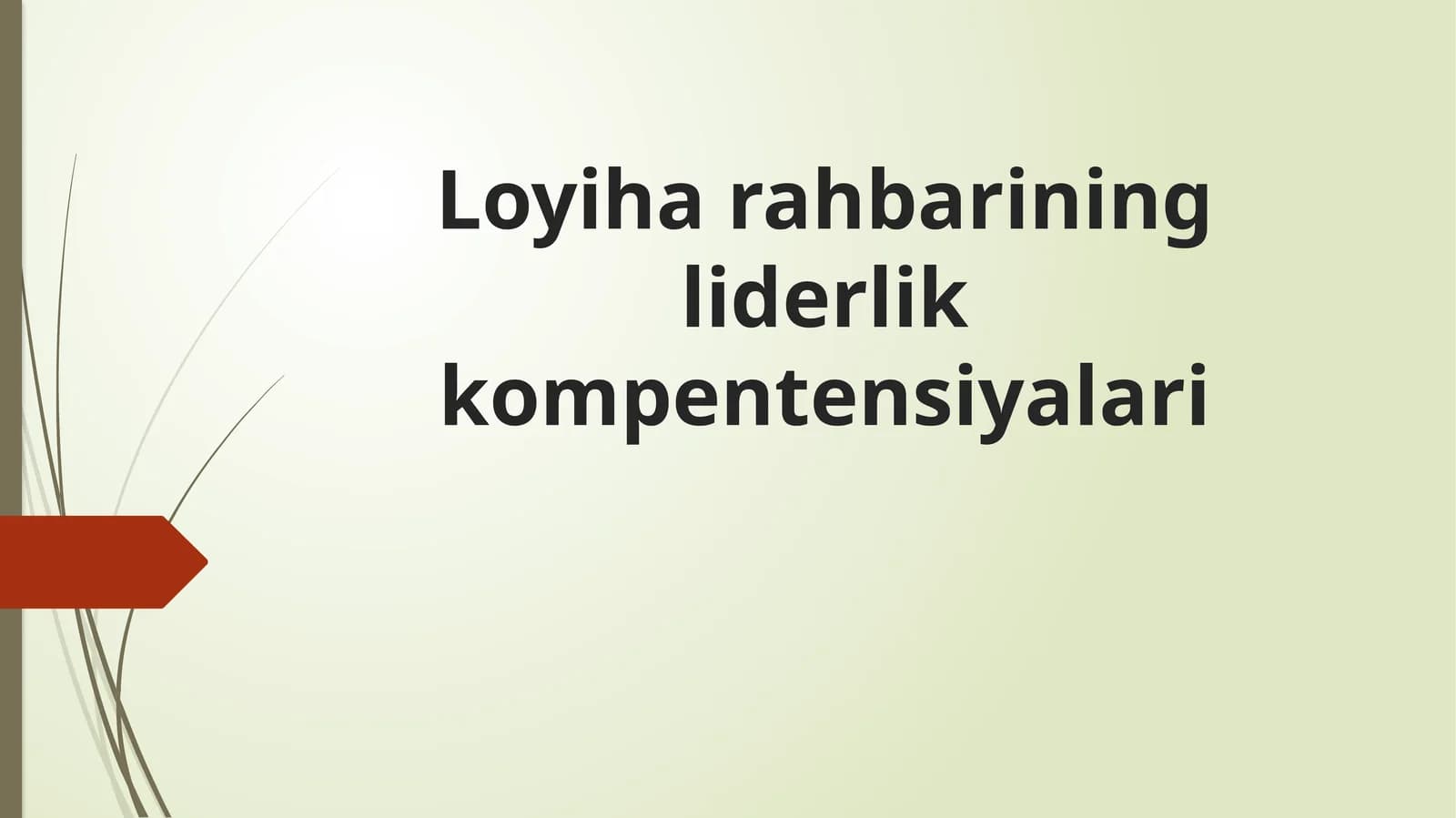 Loyiharahbarining liderlik kompetensiyalari