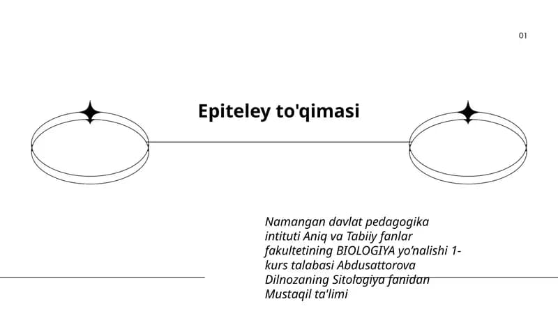 Epiteley to'qimasi