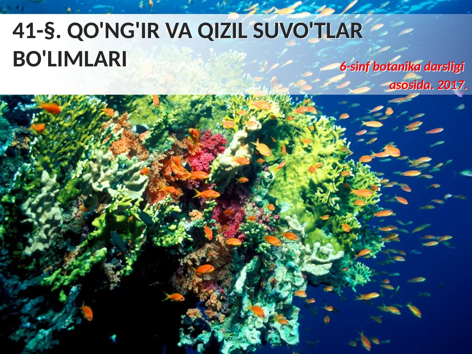 6-sinf Botanika dars ishlanma. Qo'ng'ir va qizil suvo'tlari