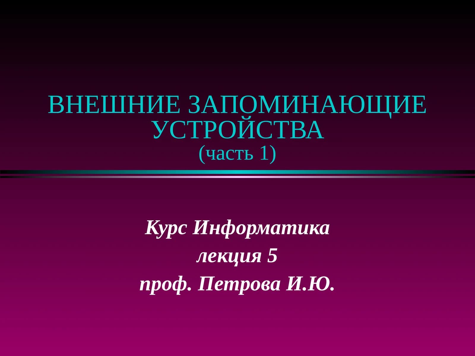 ВНЕШНИЕ ЗАПОМИНАЮЩИЕ УСТРОЙСТВА(часть 1)