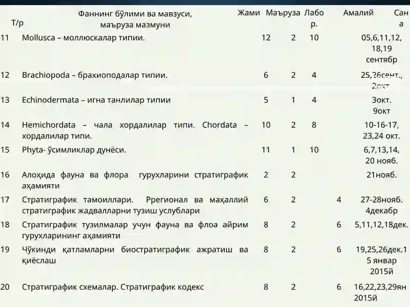 Mollusca – моллюскалар типии