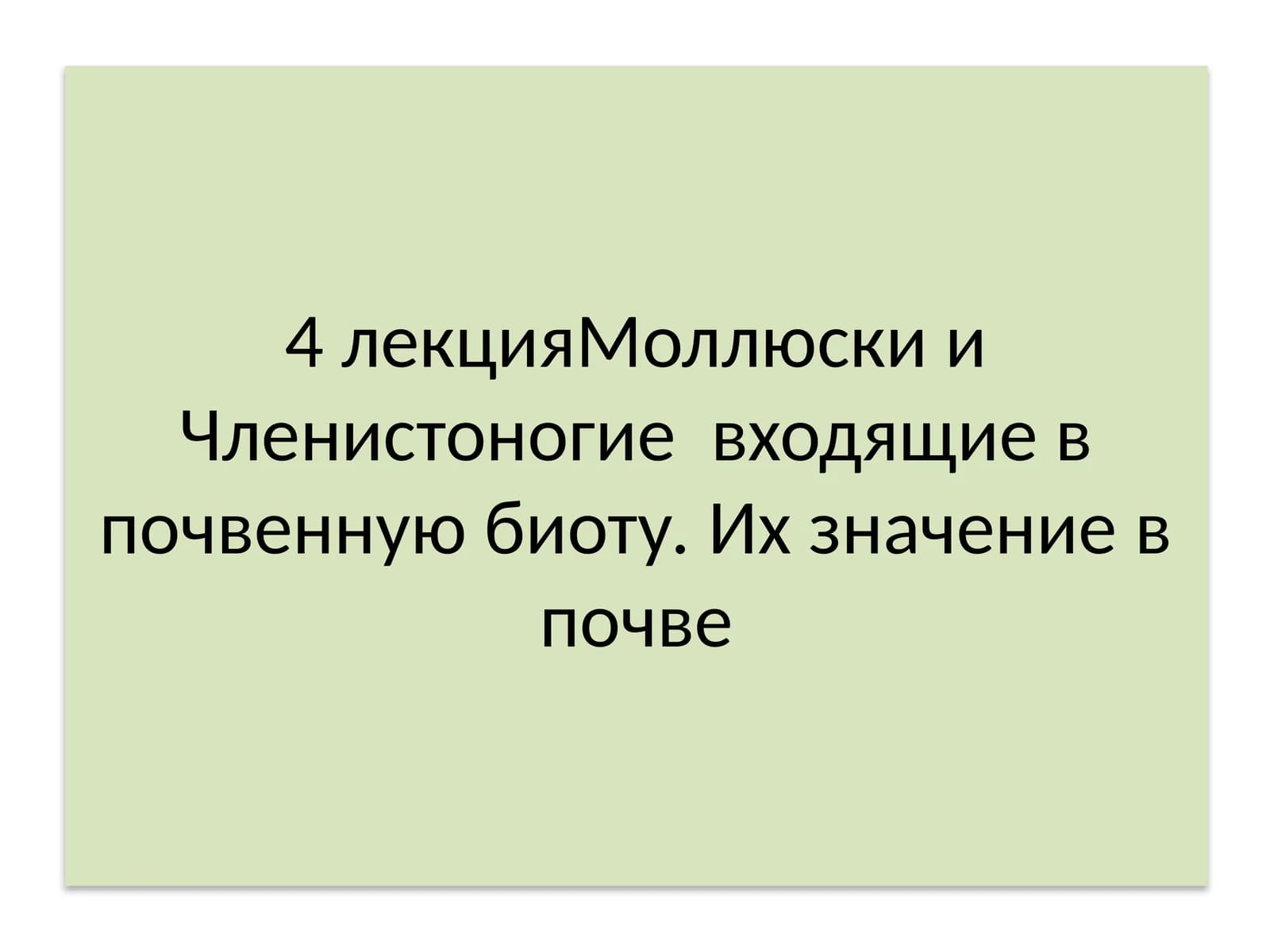 Моллюски и Членистоногие