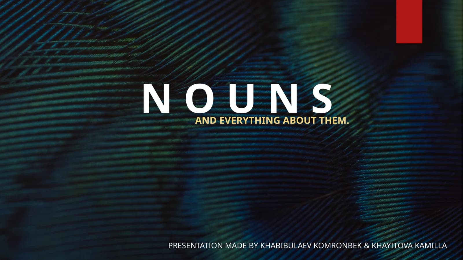 NOUNS