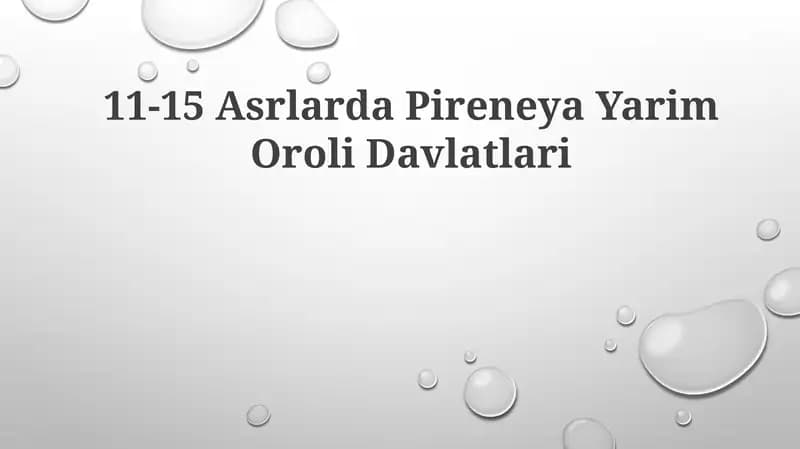 11-15 Asrlarda Pireneya YarimOroliDavlatlari