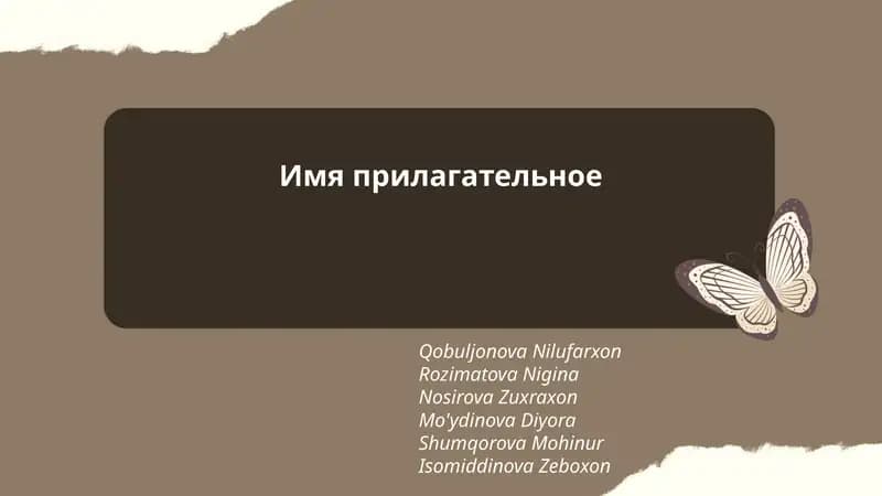 Имя прилагательное