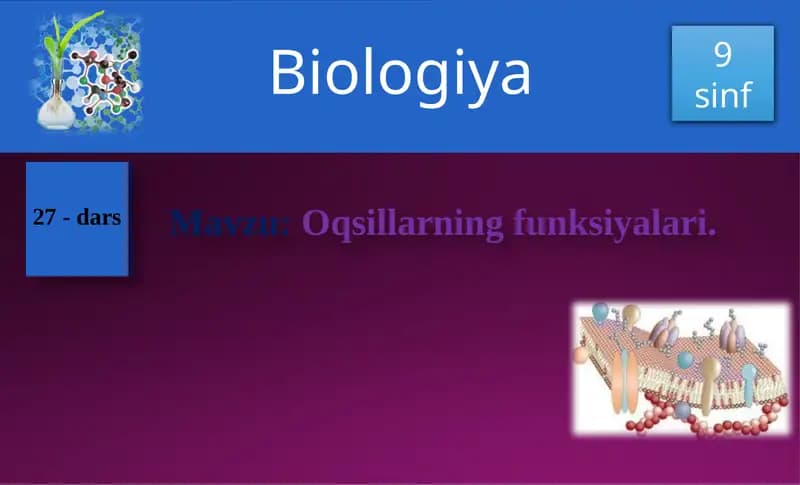 Oqsillarning funksiyalari