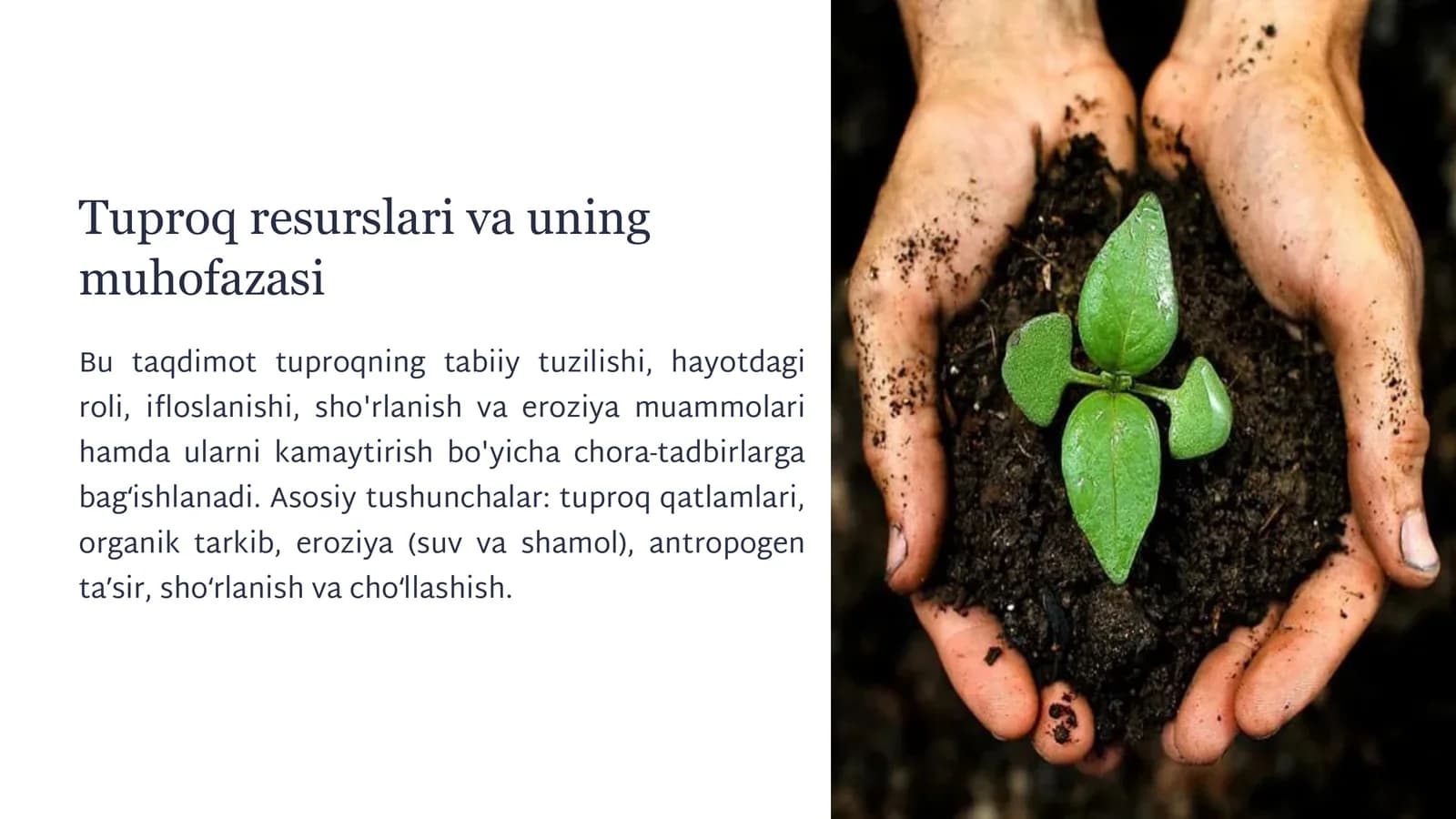 Tuproq resurslari va uning muhofazasi