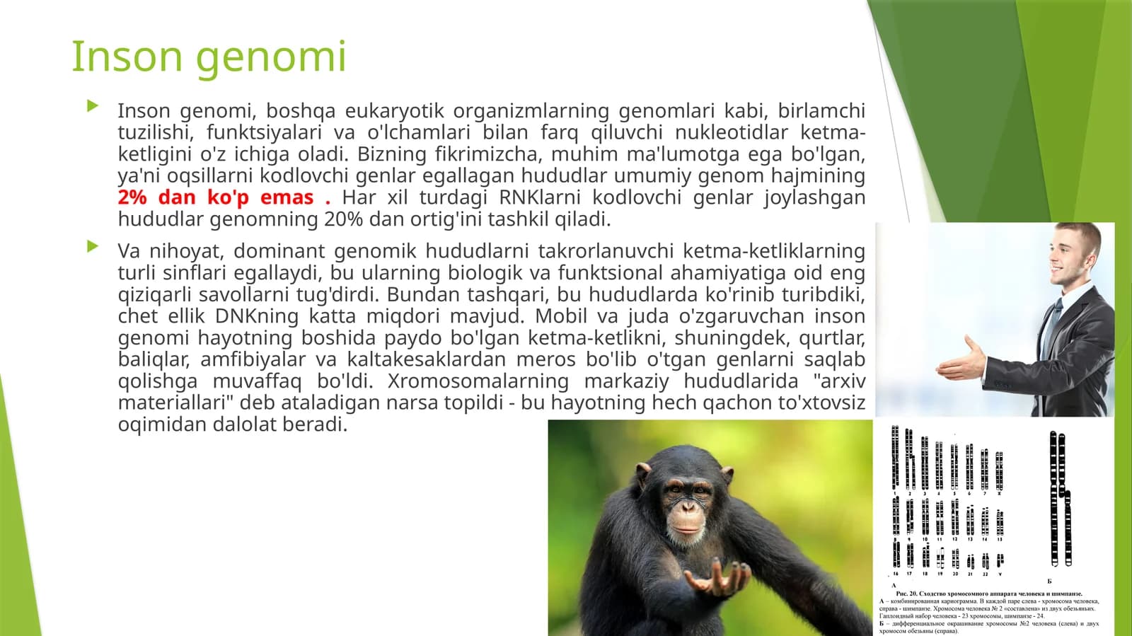 Inson genomi