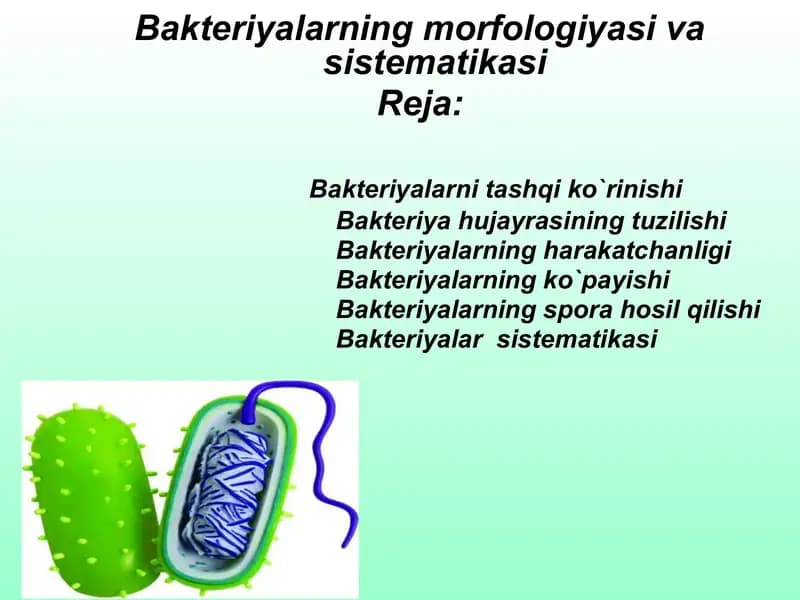 Bakteriyalar va ularning morfologiyasi