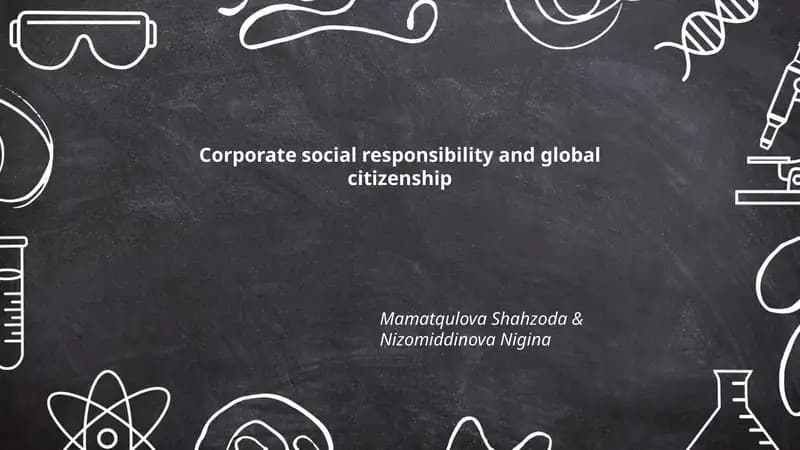 Corporate social responsibility and global citizenship